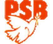 Partido Socialista Brasileiro (PSB) Partido Socialista Brasileiro (PSB)